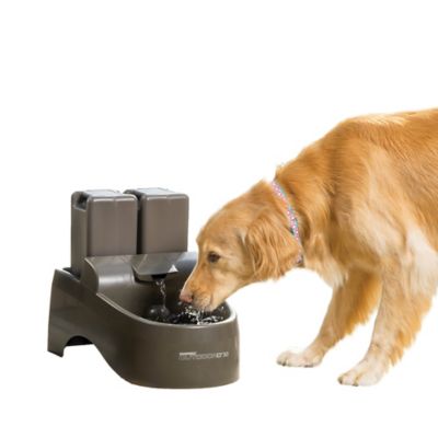 PetSafe Drinkwell Outdoor Dog Fountain, 450 oz.