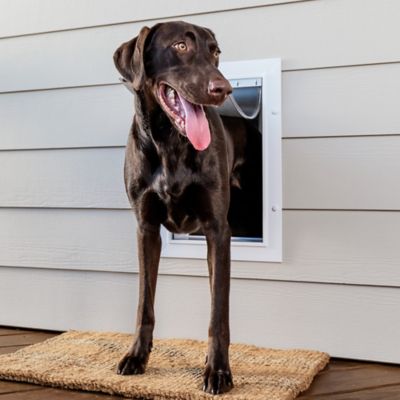 PetSafe Pet Wall Entry Door