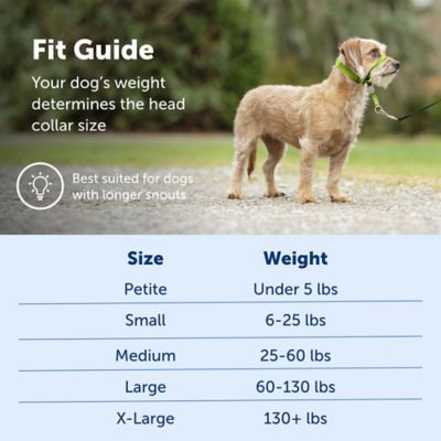 Image showing  Gentle Leader Quick-Release Dog Headcollar