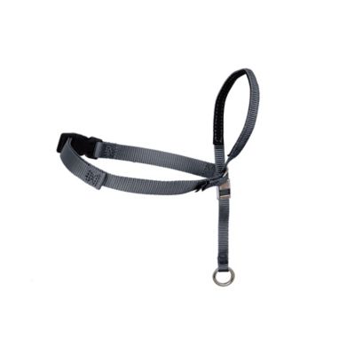 Image showing 8 th PetSafe Gentle Leader Quick-Release Dog Headcollar