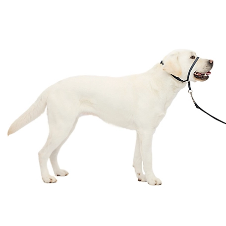 PetSafe Gentle Leader Headcollar Quick Release Dog Collar