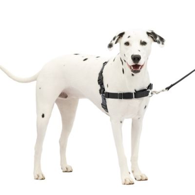 PetSafe Easy Walk No-Pull Dog Harness