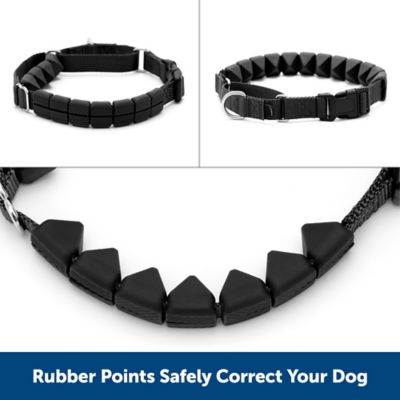 Image showing  Soft Point Training Collar