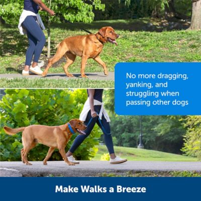 Image showing  Soft Point Training Collar