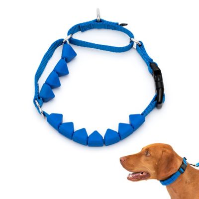 Petsafe collar clearance uk