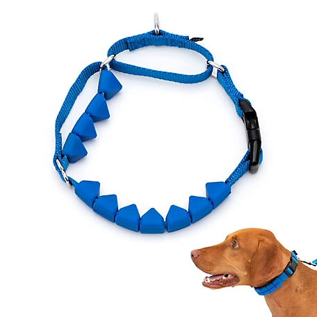 PetSafe Soft Point Training Collar
