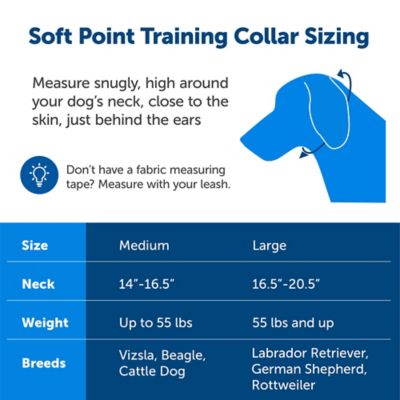 Image showing 5 th PetSafe Soft Point Training Collar