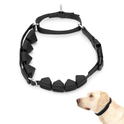 PetSafe Soft Point Training Collar Humane training collar