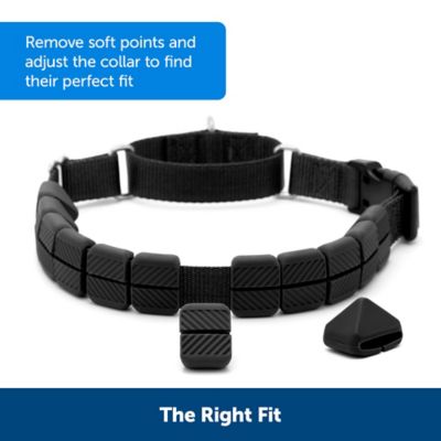 Image showing  Soft Point Training Collar