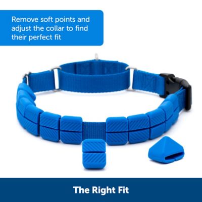 Image showing  Soft Point Training Collar