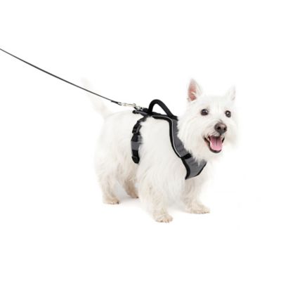 Image showing 7 th PetSafe Easysport Dog Harness