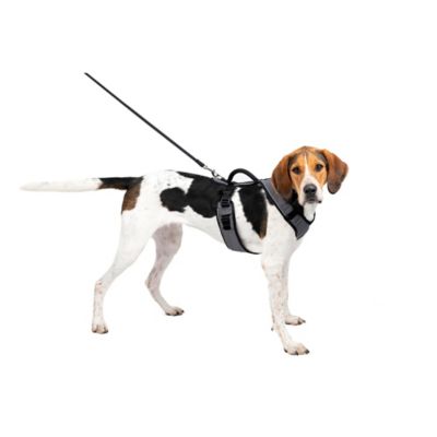 Image showing 7 th PetSafe Easysport Dog Harness