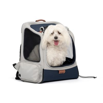 Image showing 6 th PetSafe Happy Ride Backpack Pet Carrier