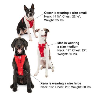 Image showing 6 th Kurgo Enhanced Strength Tru-Fit Smart Dog Harness, Ink Blue, X-Small - Crash Tested Car Safety Harness for Dogs
