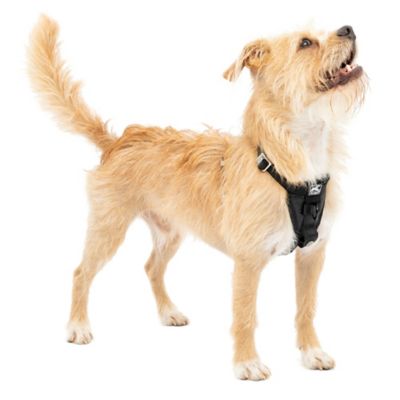Image showing  Enhanced Strength Tru-Fit Smart Dog Harness, Ink Blue, X-Small - Crash Tested Car Safety Harness for Dogs