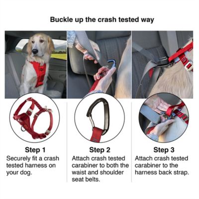Image showing  Enhanced Strength Tru-Fit Smart Dog Harness, Ink Blue, X-Small - Crash Tested Car Safety Harness for Dogs