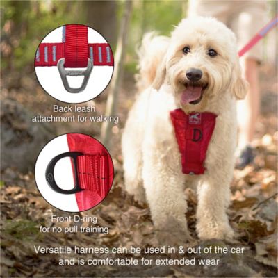 Image showing  Enhanced Strength Tru-Fit Smart Dog Harness, Ink Blue, X-Small - Crash Tested Car Safety Harness for Dogs