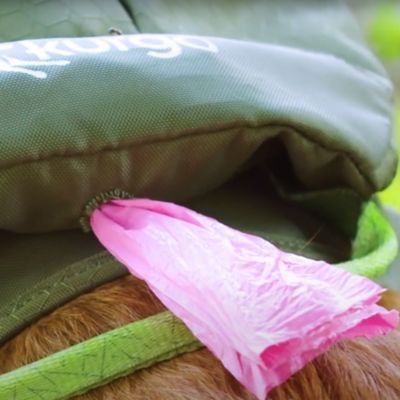 Image showing  Cascade Dog Harness