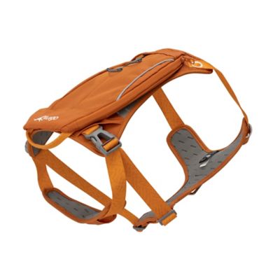 Image showing 6 th Kurgo Cascade Dog Harness