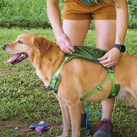 Kurgo Cascade Dog Harness
