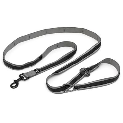 Kurgo Quantum Dog Leash V2