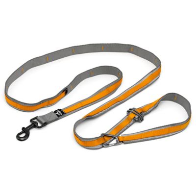 Kurgo Quantum Dog Leash V2 [This review was collected as part of a promotion