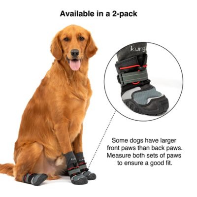 Image showing  Blaze Dog Boots, 2 ct.