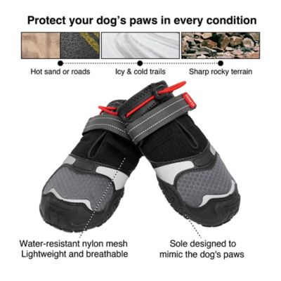 Image showing  Blaze Dog Boots, 2 ct.