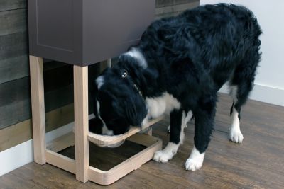 Image showing  Parlor Pet Feeder Station, Gray