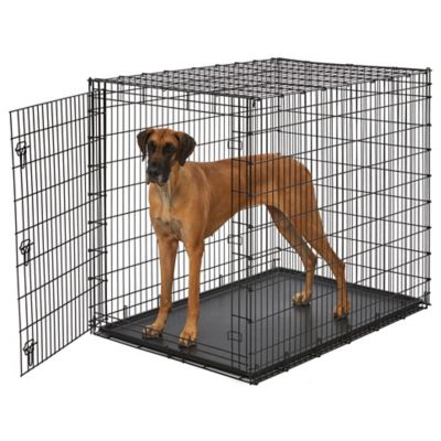 Image showing 1 th MidWest Homes for Pets Solutions Series 54 in. Single Door