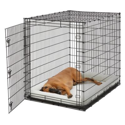 Image showing 2 th MidWest Homes for Pets Solutions Series 54 in. Single Door