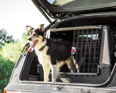 Image showing 5 th Ferplast ATLAS Polypropylene Car Dog Crate, Scenic Black