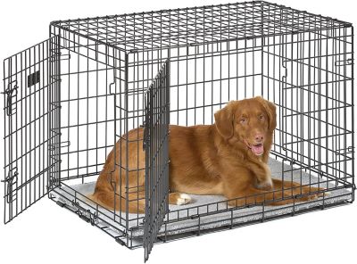 Image showing  Quiet Time Pan Cover