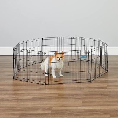 Image showing  Exercise Pen
