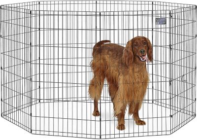 Outdoor Dog Pens For Large Dogs at Tractor Supply Co