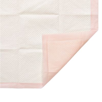 Image showing  Dry Paws Training and Floor Protection Pads