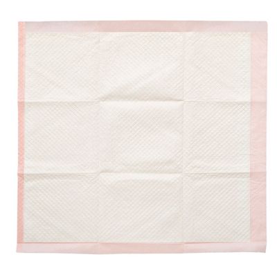 Image showing  Dry Paws Training and Floor Protection Pads