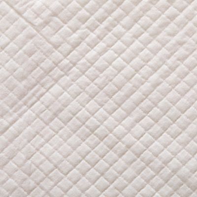 Image showing  Dry Paws Training and Floor Protection Pads