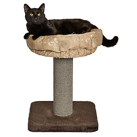 MidWest Homes for Pets Feline Nuvo Cat Furniture, Terrace