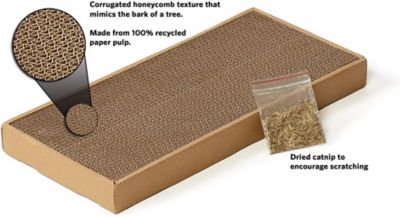 Image showing  Catty Scratch