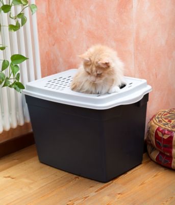 Image showing 5 th Ferplast Jumpy Cat Litter Box