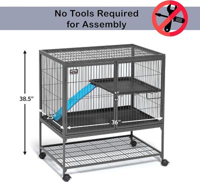 Image showing  Ferret Nation