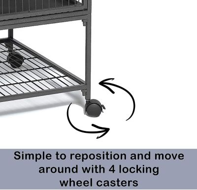 Image showing  Ferret Nation