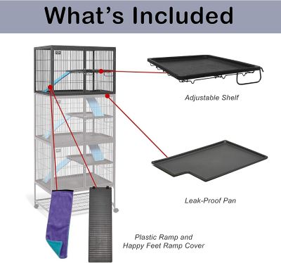 Image showing  Ferret Nation