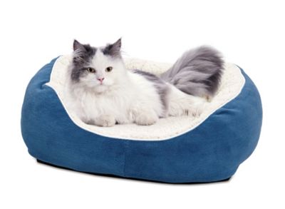 Product TrademarkColor1