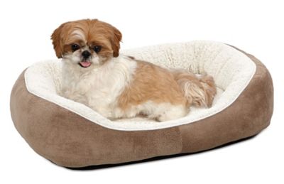 MidWest Homes for Pets Cuddle Bed