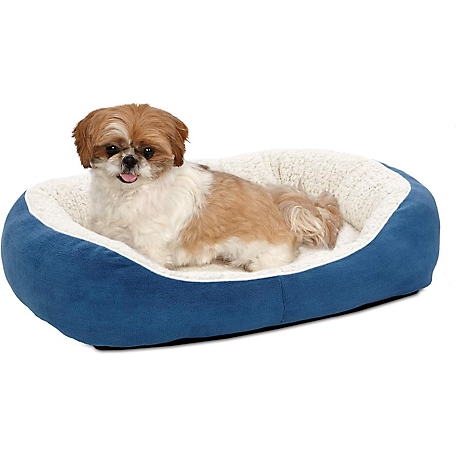 MidWest Homes for Pets Cuddle Bed