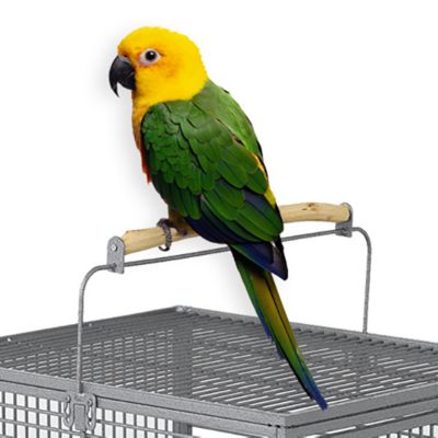 Image showing  Poquito Avian Hotel, Platinum