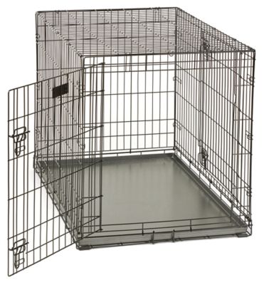 Image showing  Powder Coated Steel Crate Pan