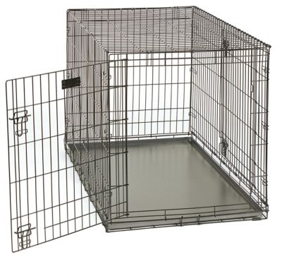 Image showing  Powder Coated Steel Crate Pan